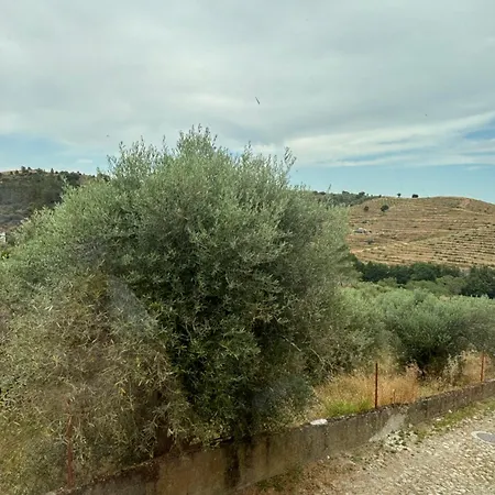 Tatil Evi Casa Da Miquinhas *