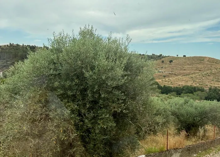 Dom wakacyjny Casa Da Miquinhas *